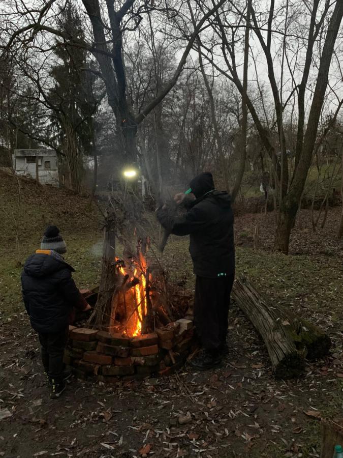 Casa Rurala Cu Livada Lavandra Кымпина Экстерьер фото